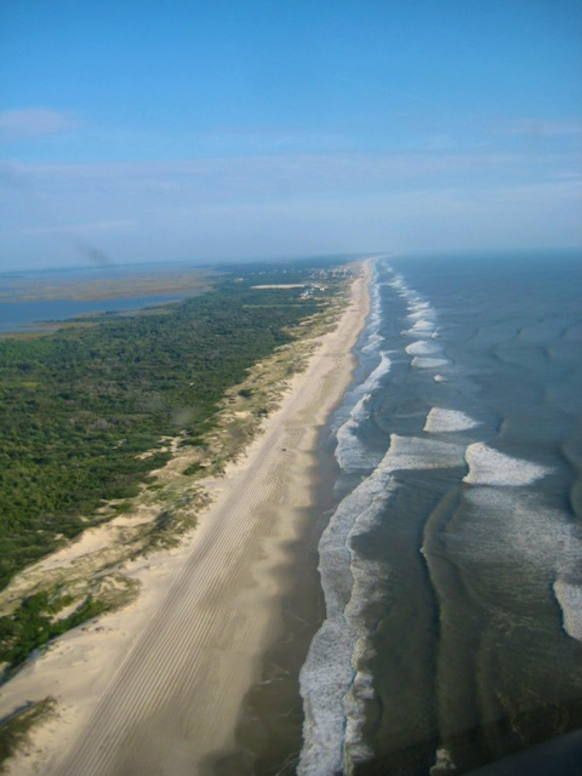 Shoreline at Currituck National Wildlife Refuge