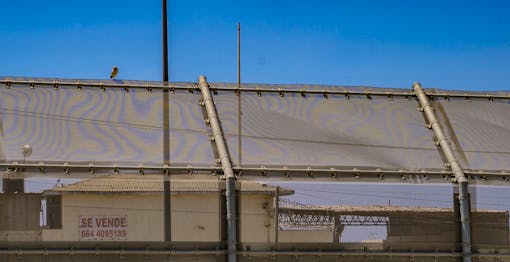 Burrowing owl on top of border wall fence 