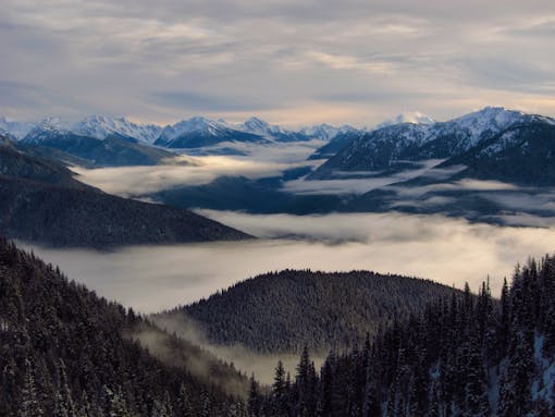 Winter scene Hurricane Ridge with clouds and pines