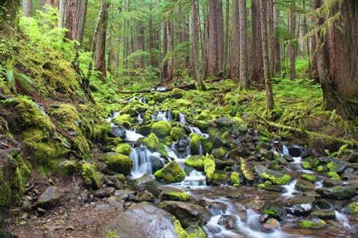 Waterfall with moss covered rocks