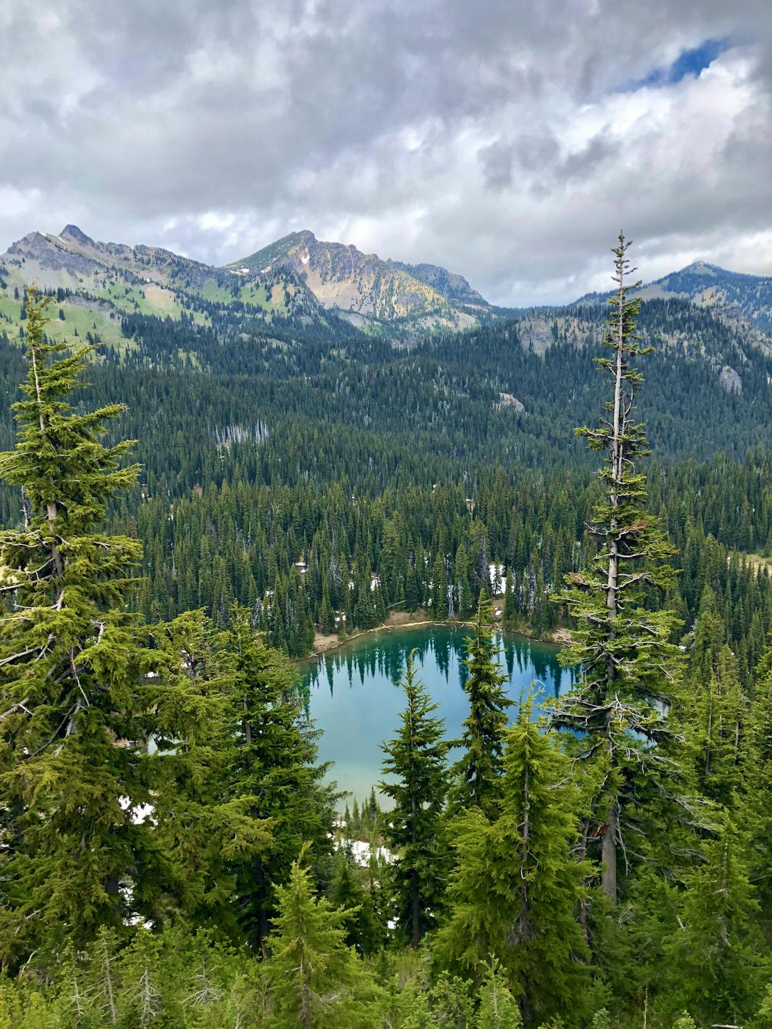 Louise Lake along Stevens Canyon Road through pines