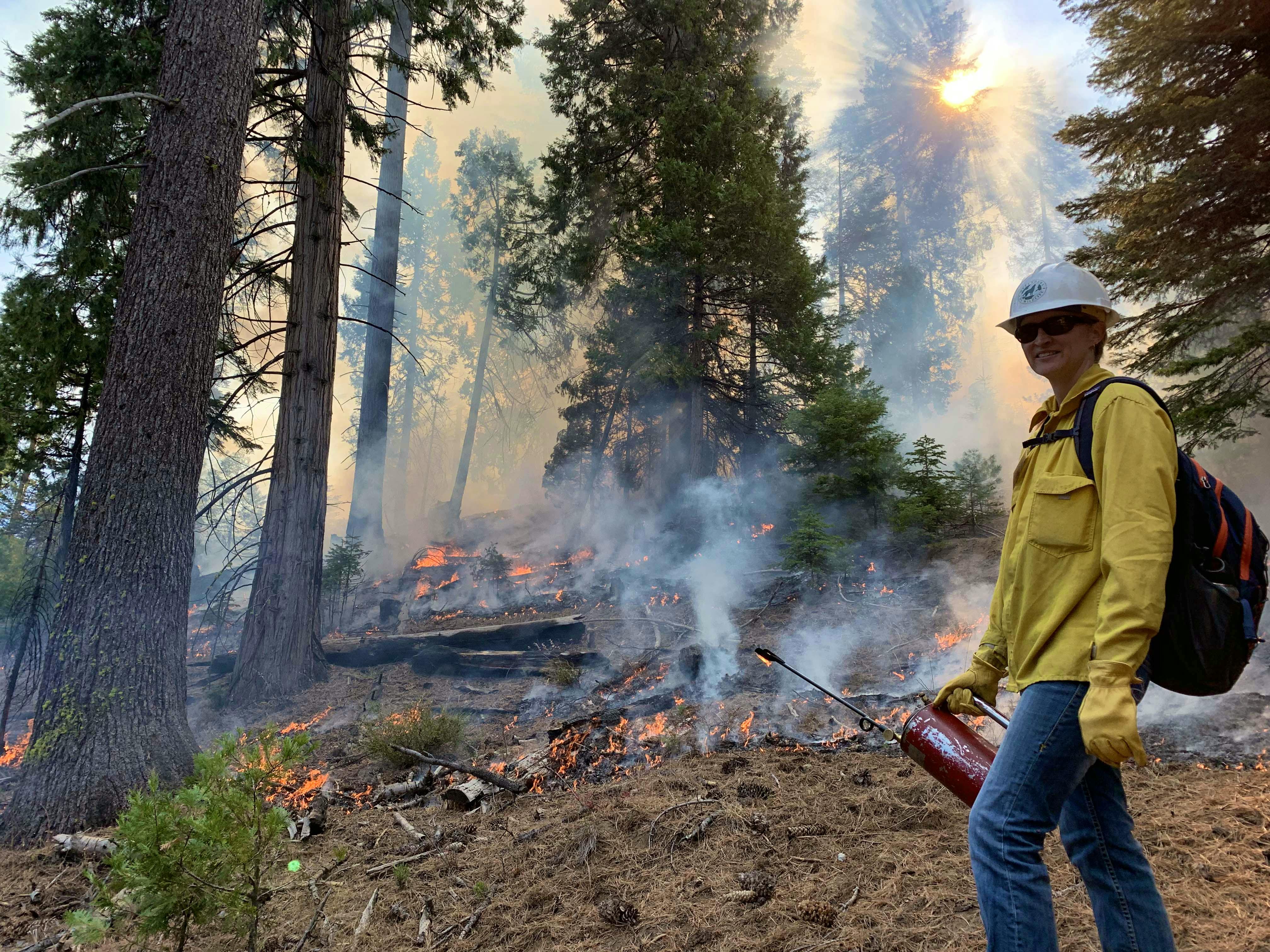 Flick Facing Camera with Flame Tank and Smokey Forest 