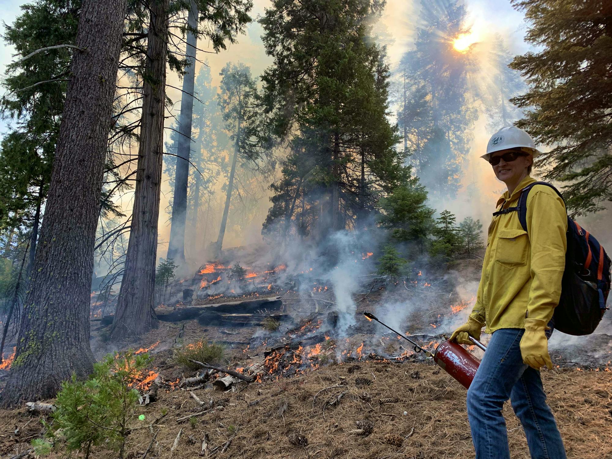 Flick Facing Camera with Flame Tank and Smokey Forest 