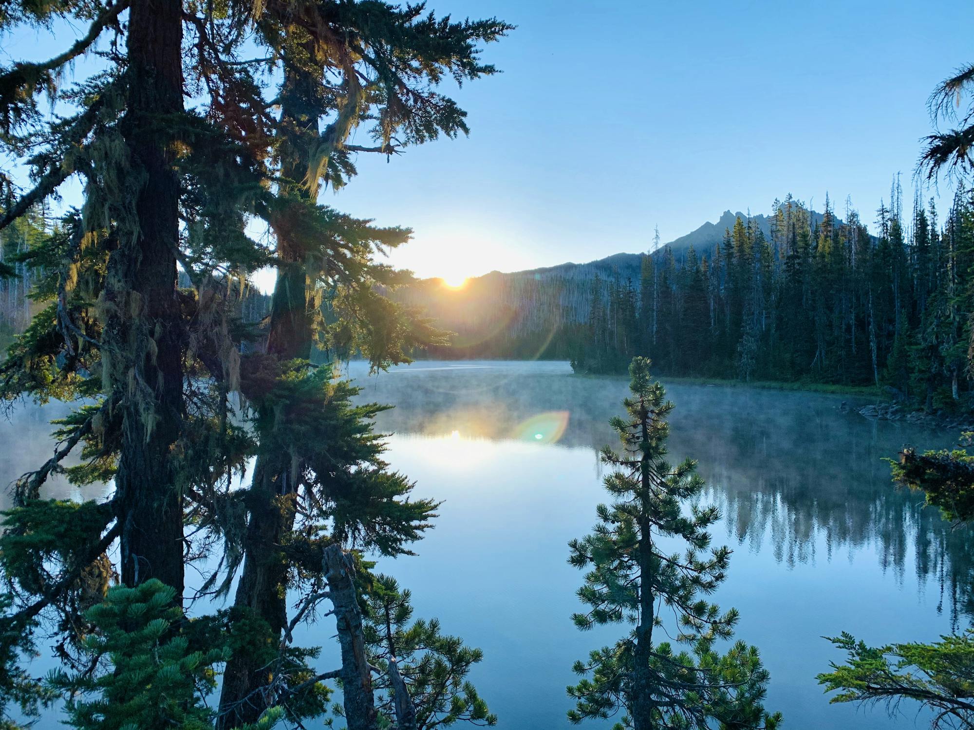 Duffy Lake view through trees - Oregon