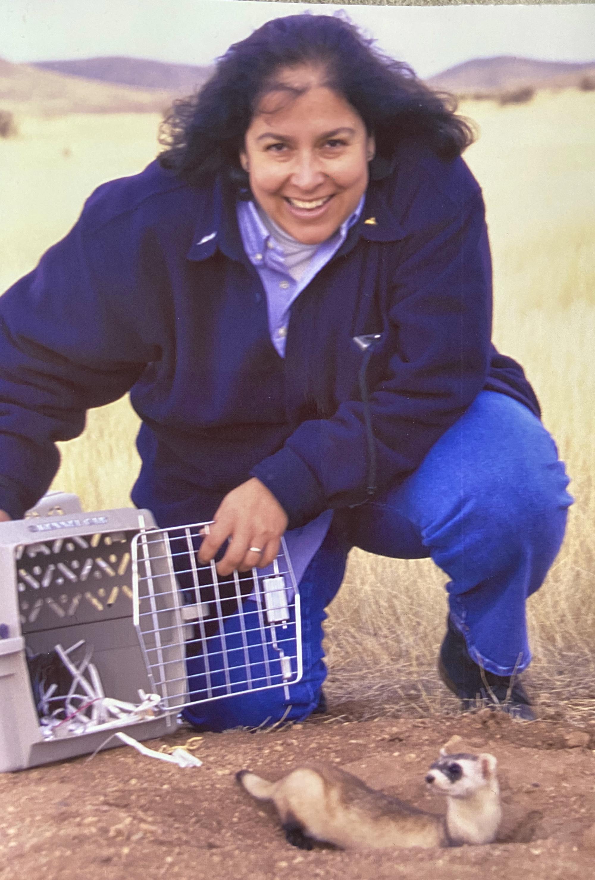 Gaby releasing black footed ferret