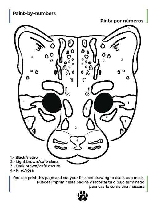 Bordercats booklet page 12 paint by numbers mask