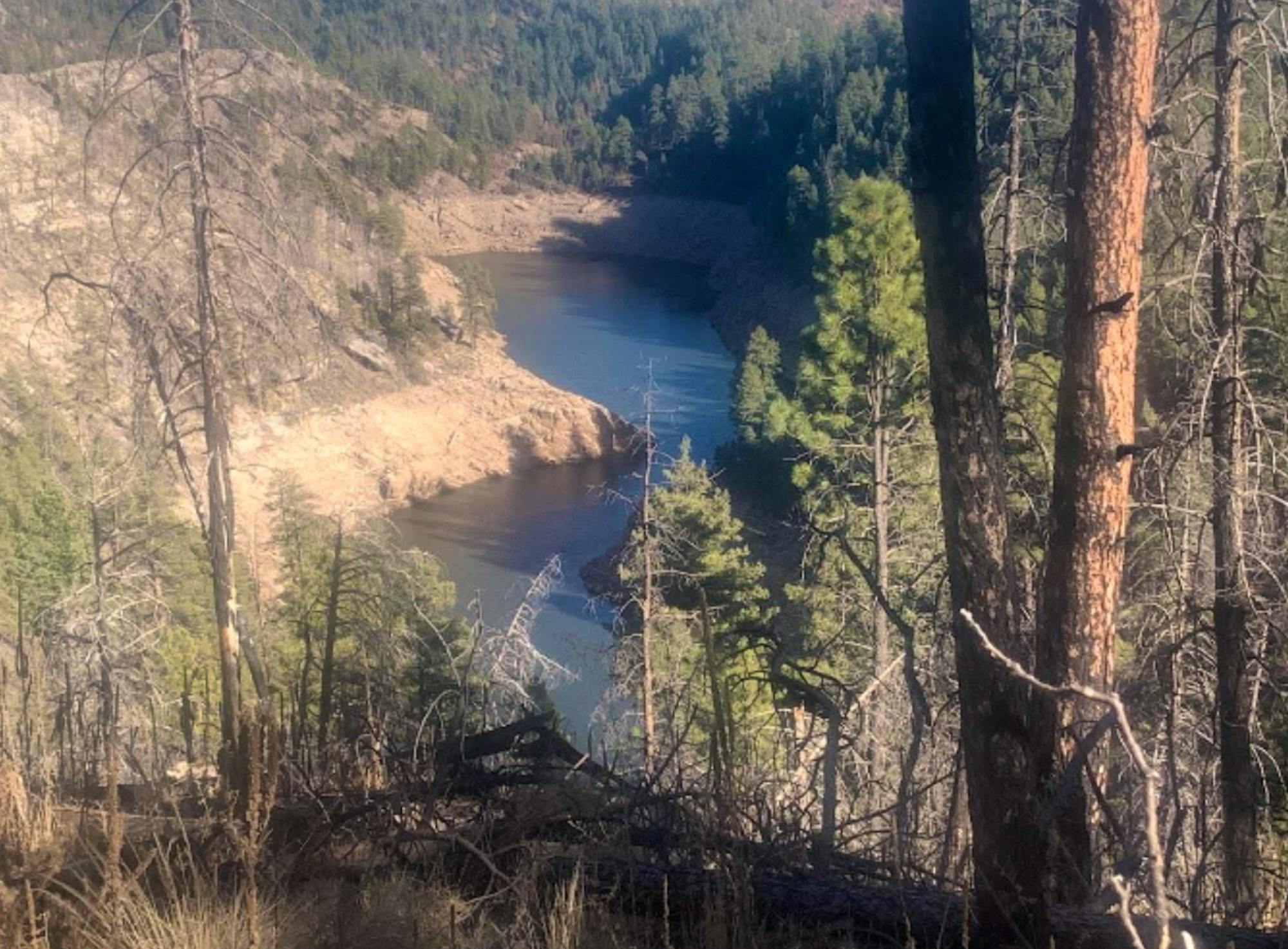 Blue Ridge reservoir surrounded by forest 