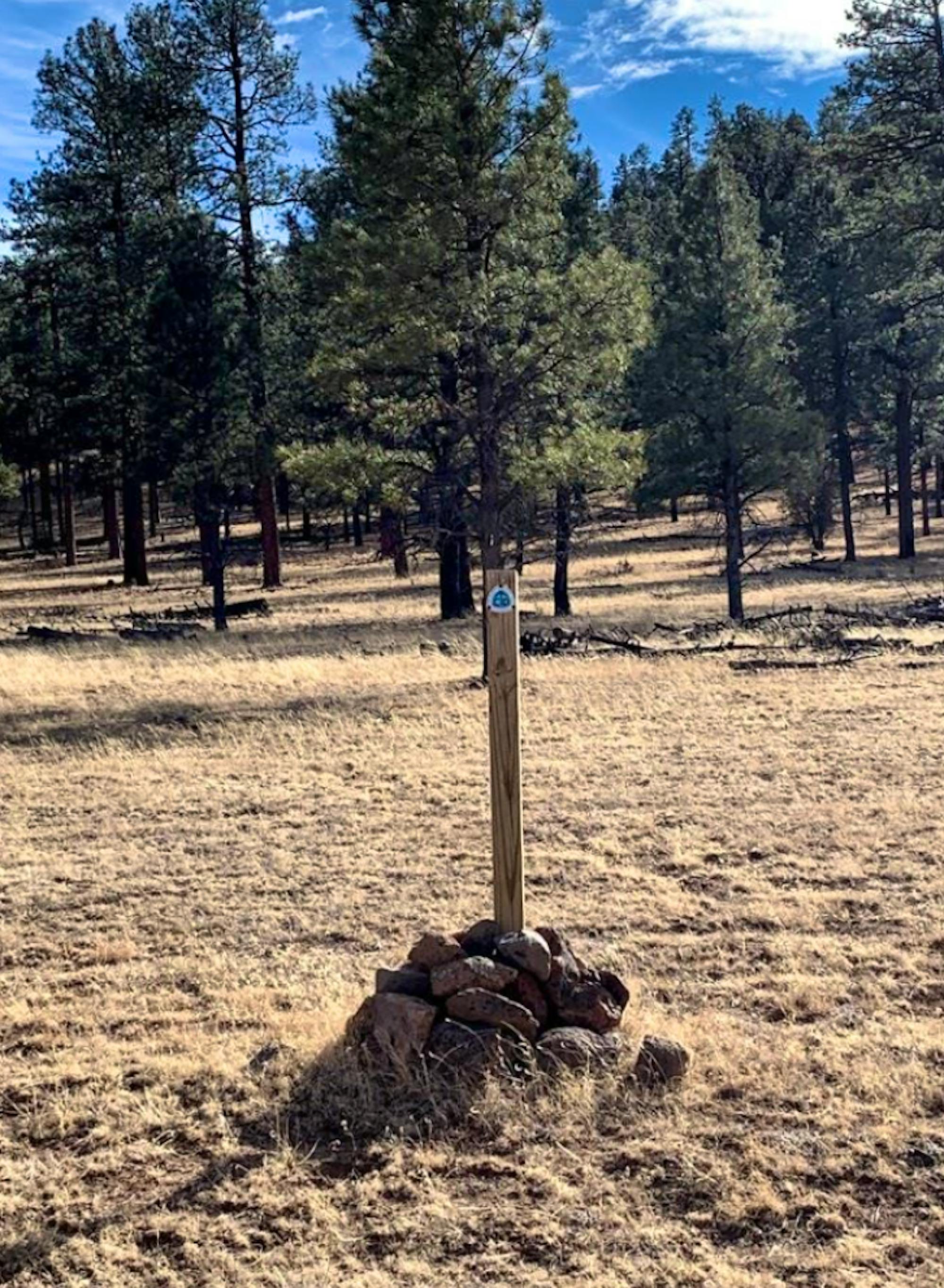 Continental divide trail wooden marker in front of forest 