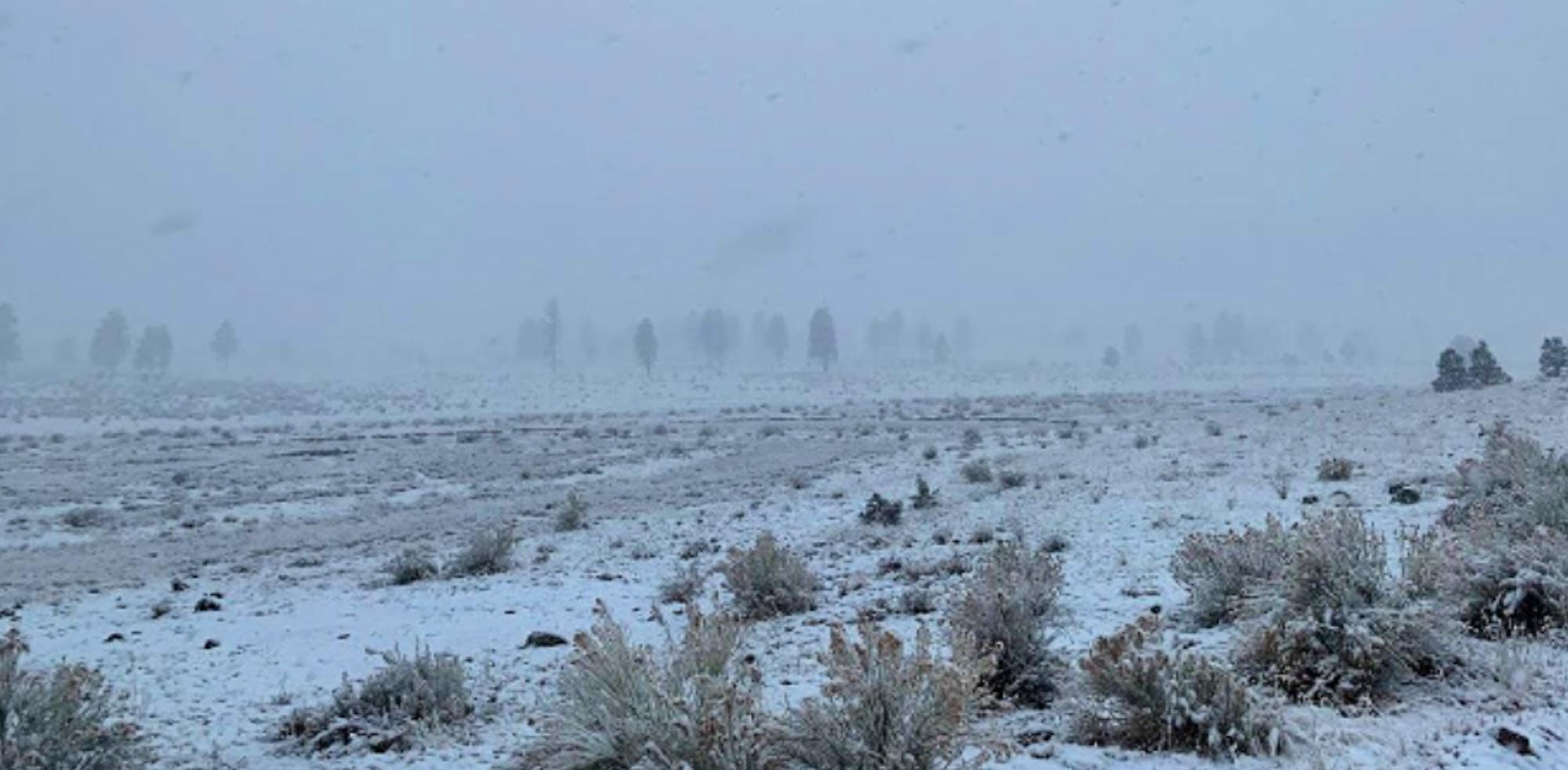 Snow covered lanscape with mist in the background