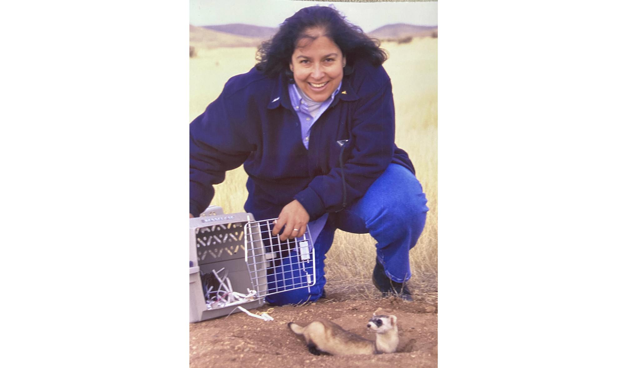 Gaby Chavarria black footed ferret release