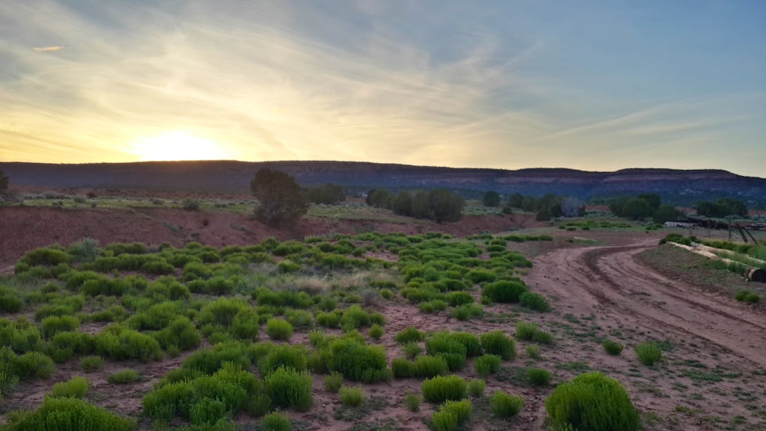 Naanibah's backyard landscape