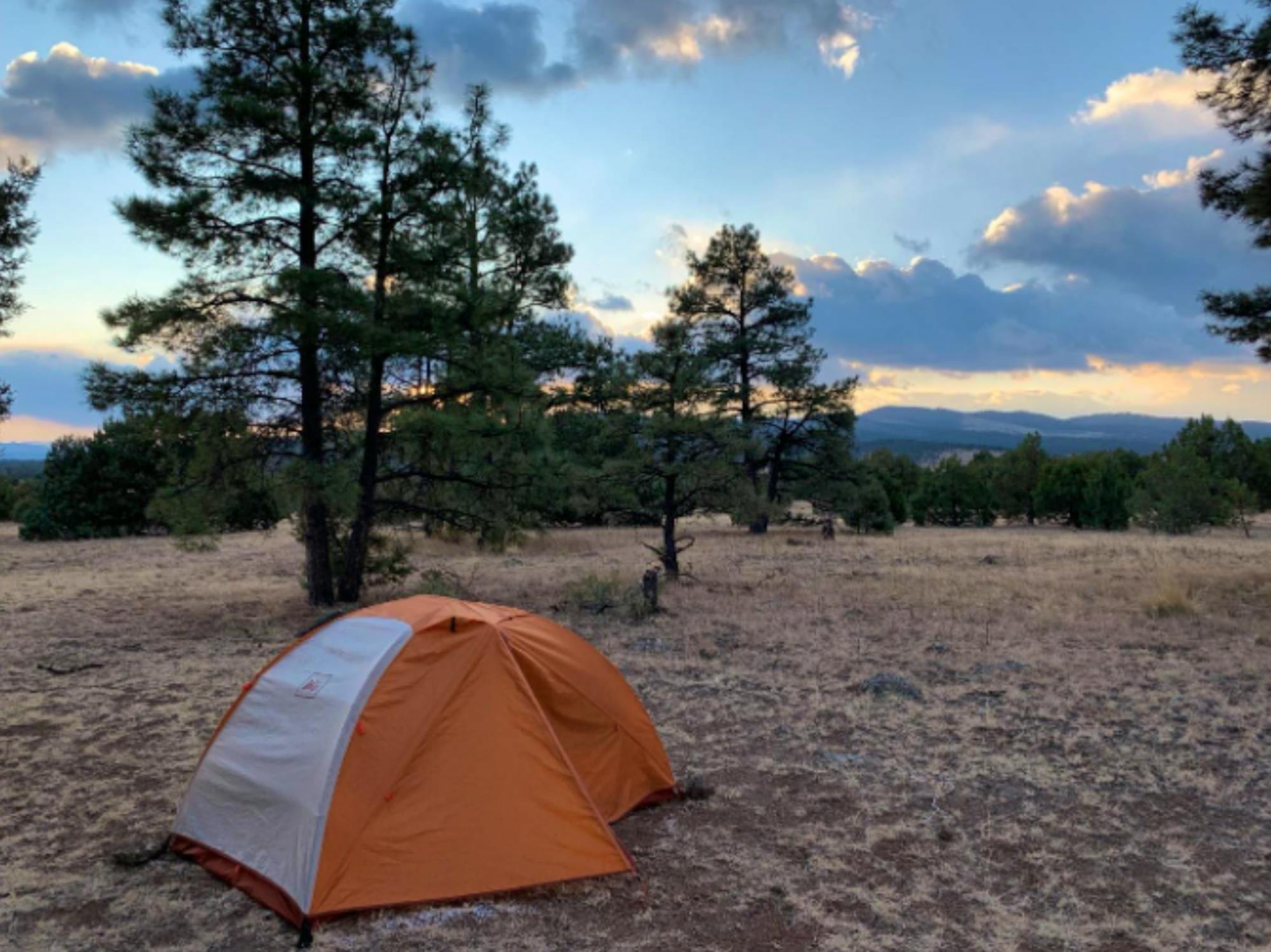 Campsite with tent showing large trees and mountains in background