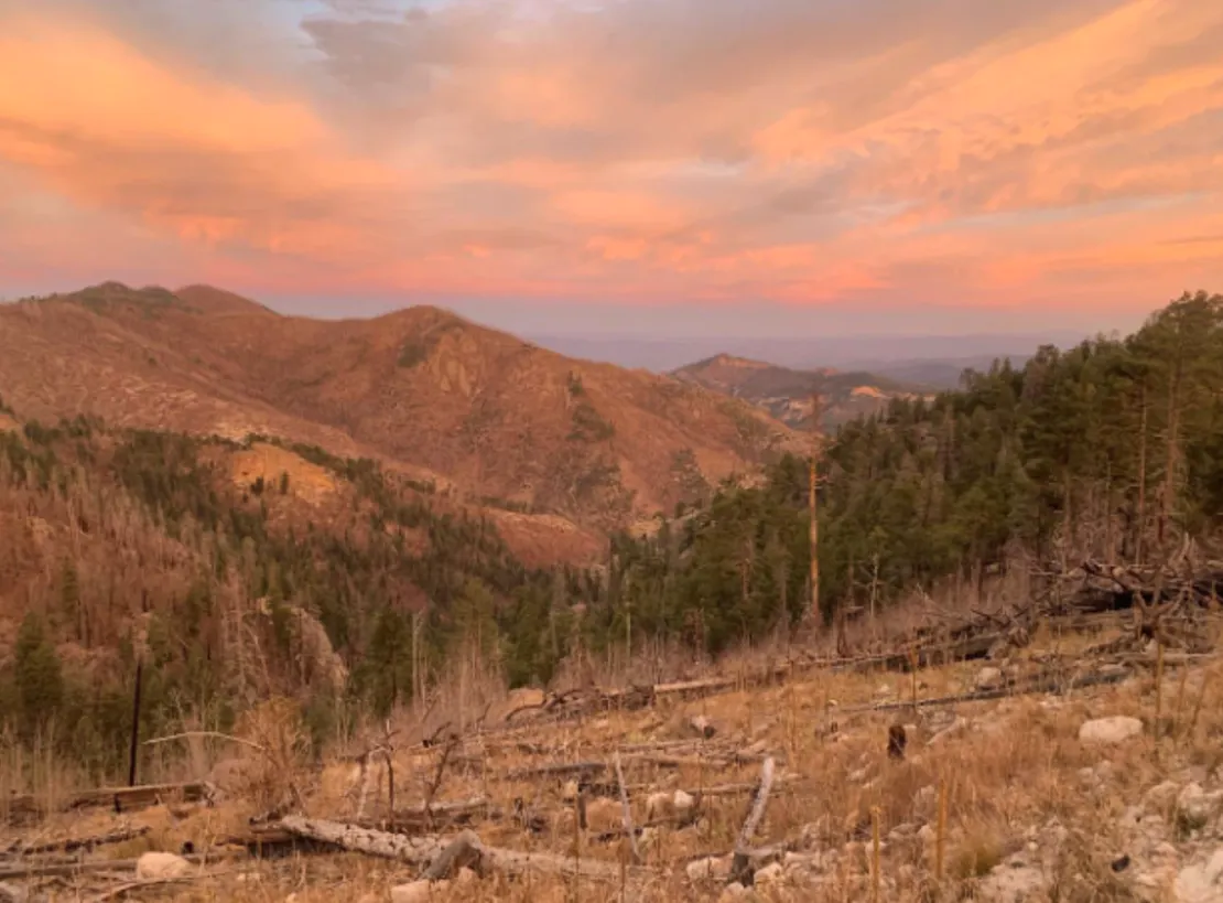 Mountain Landscape at Sunrise showing Colibri Mexican Gray Wolf Pack Territory