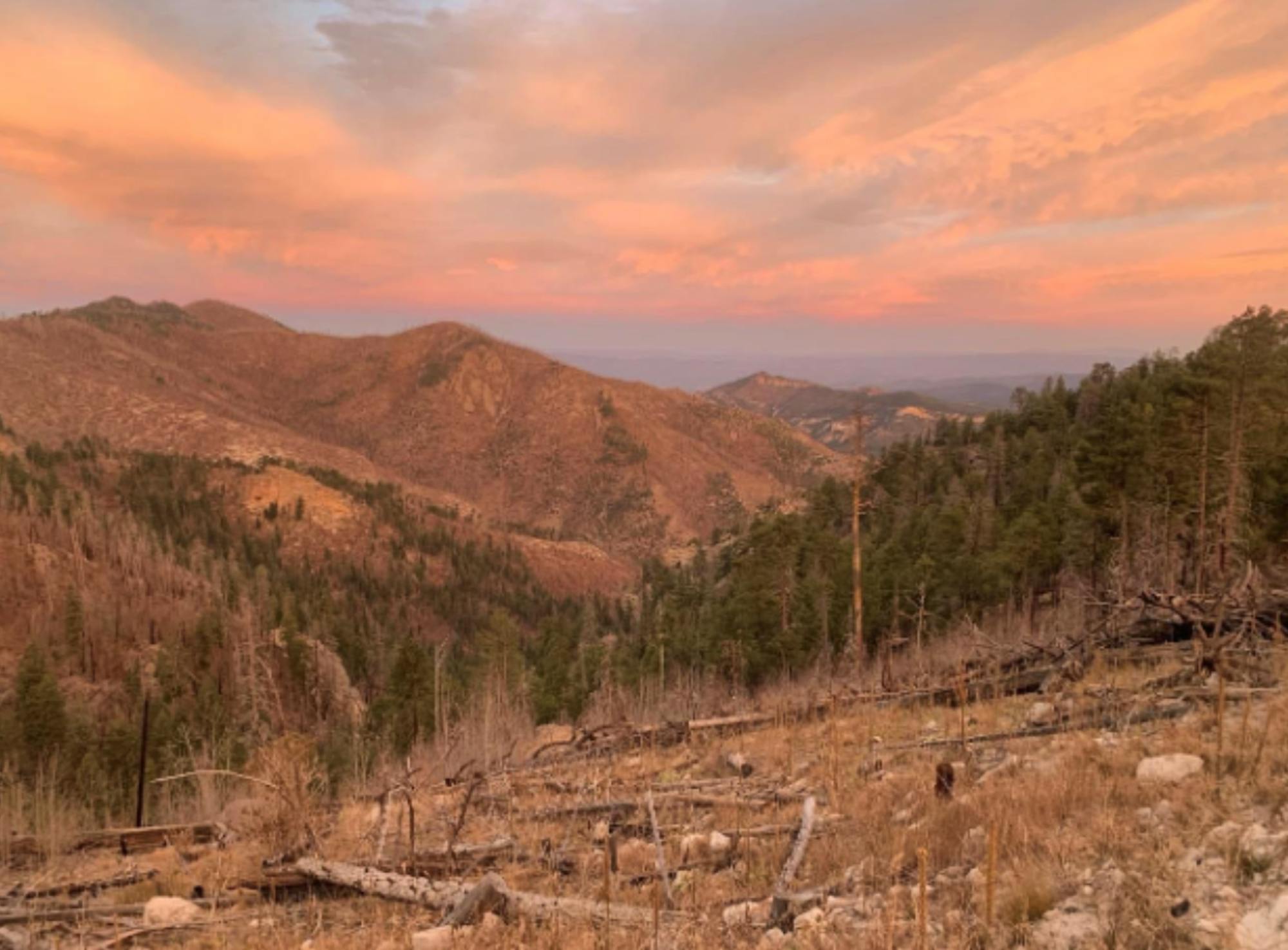 Mountain Landscape at Sunrise showing Colibri Mexican Gray Wolf Pack Territory