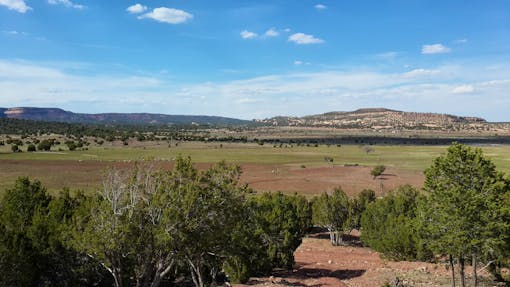 Oak Springs Community landscape