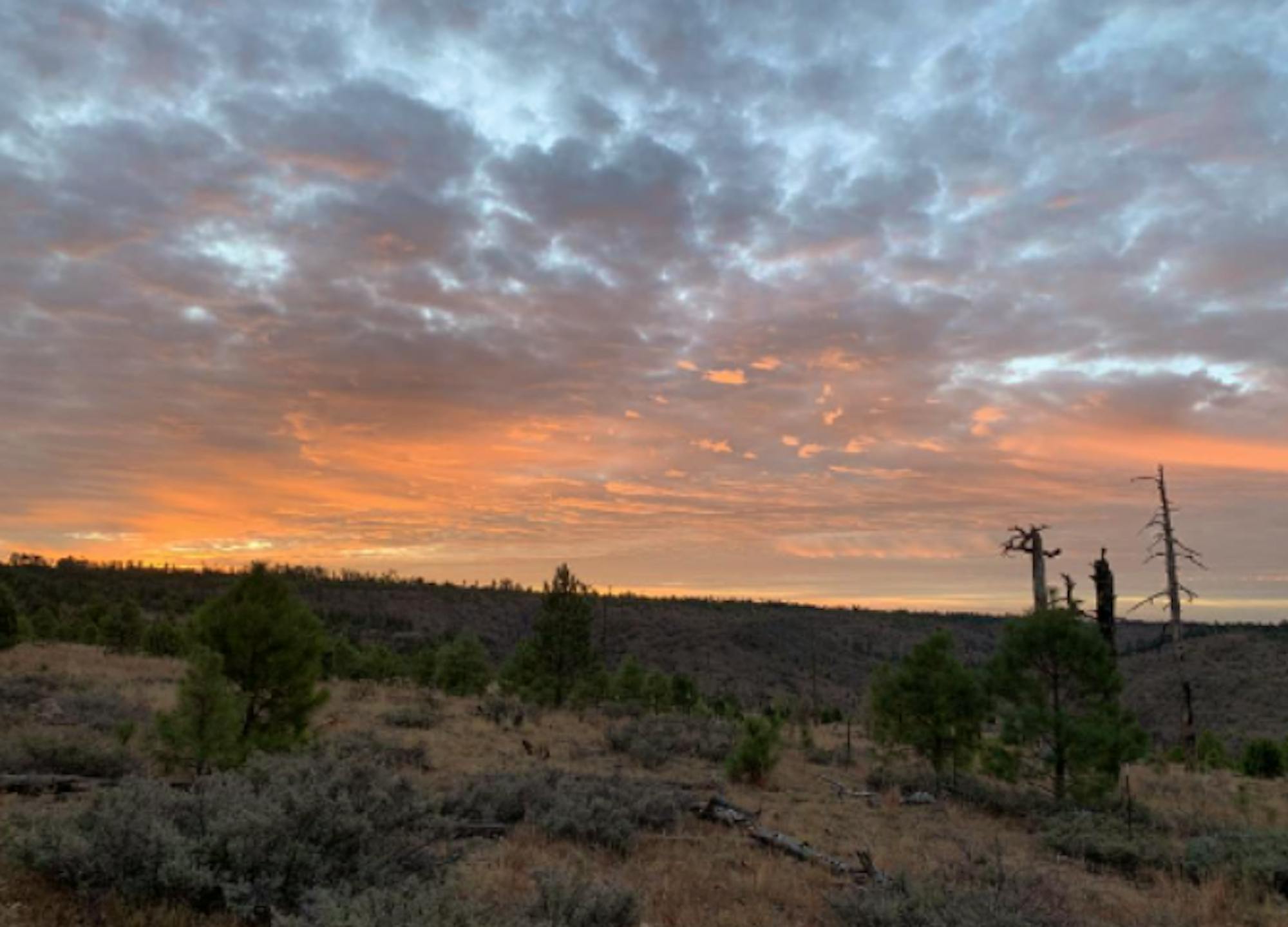 Orange sunrise over forest hills on top of Mongollon Rim