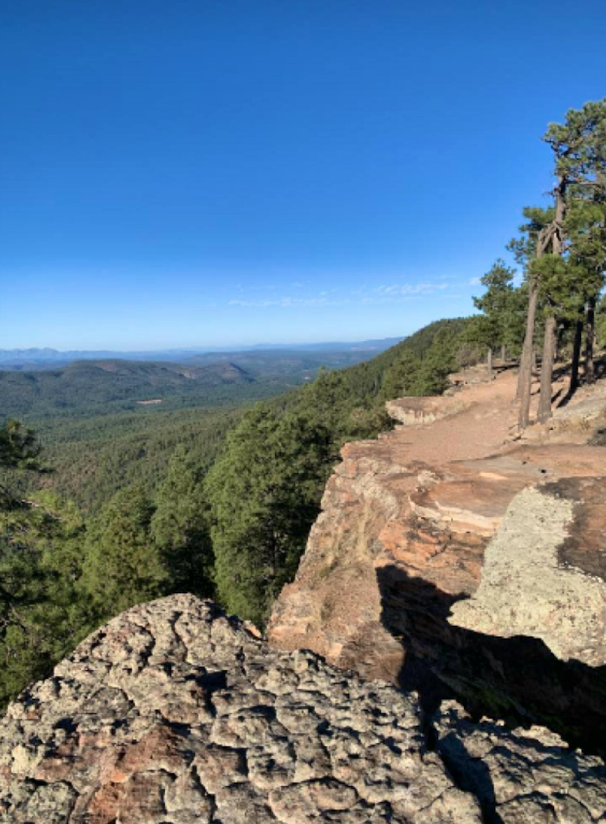 View from Mongollon Rim