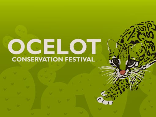 Ocelot Conservation festival banner