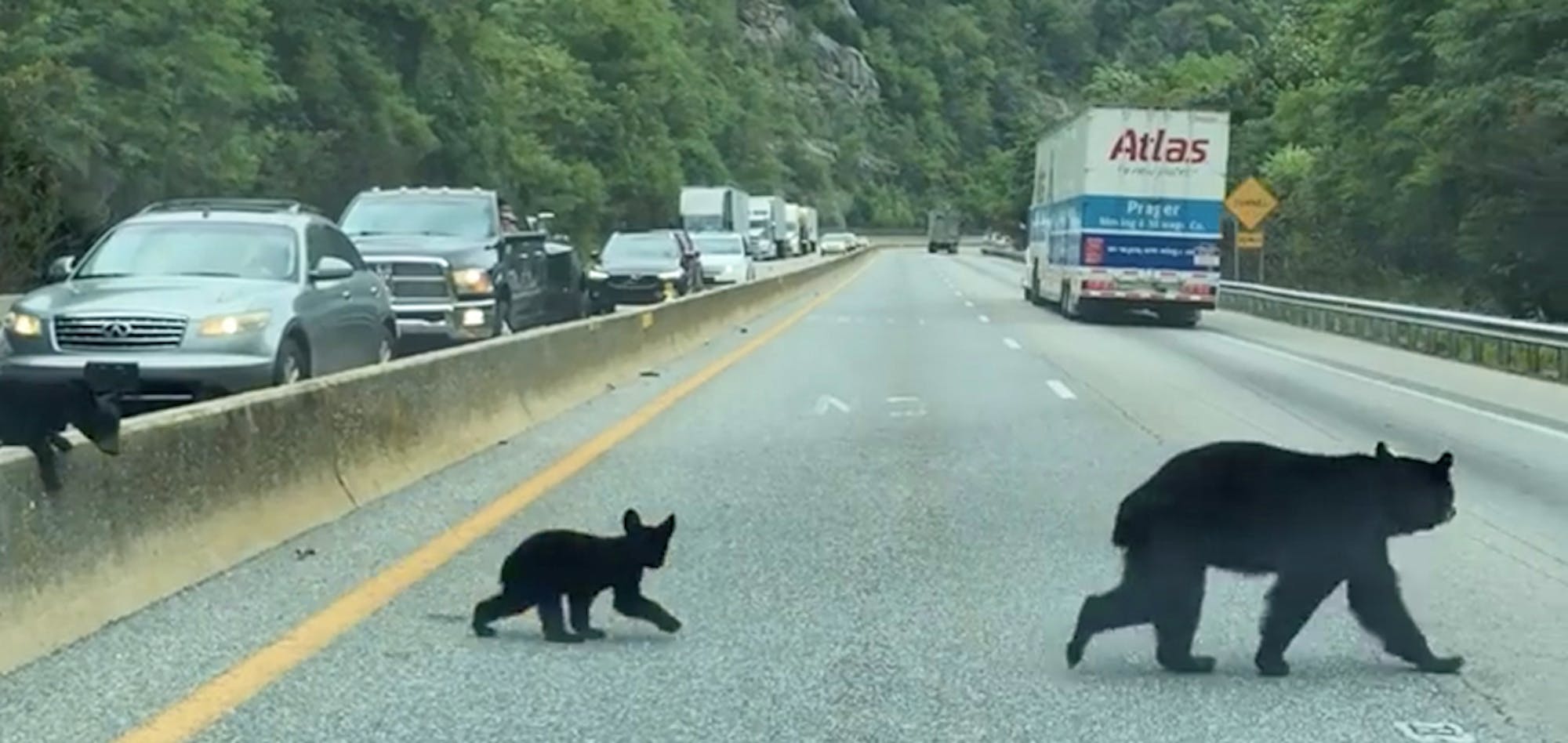 A driver snapped this photo through the windshield at a long and deadly stretch of I-40 outside Great Smoky Mountains National Park.