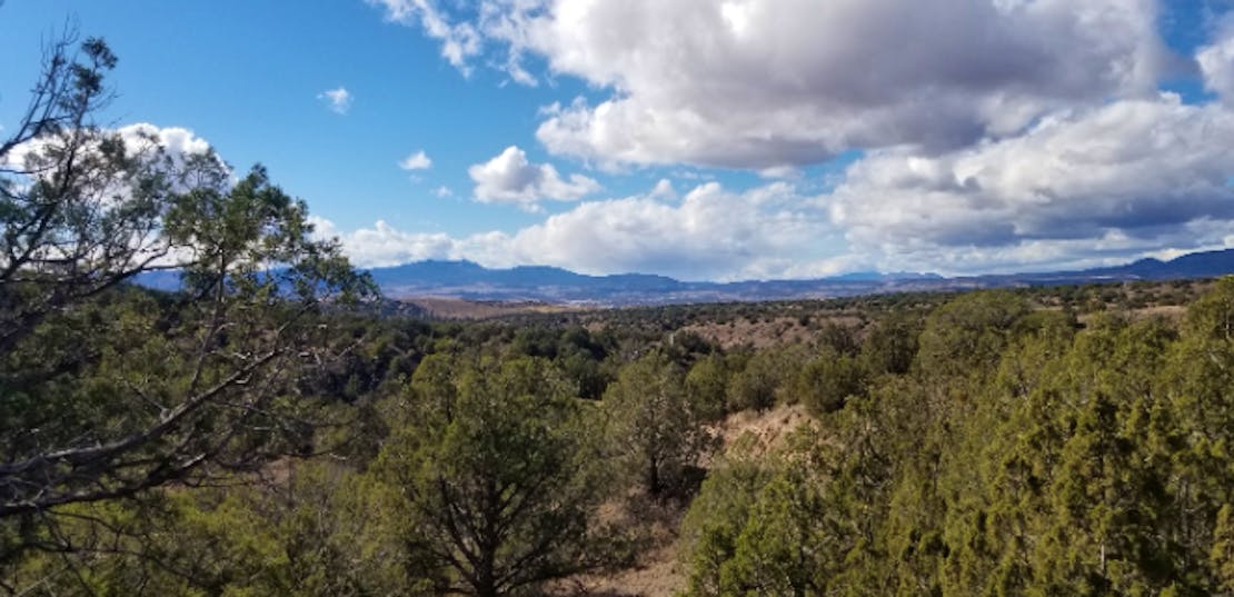 Mountain lanscape with green forest and cloudy blue sky