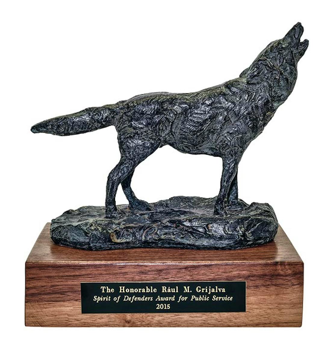 Raul Grijalva Award