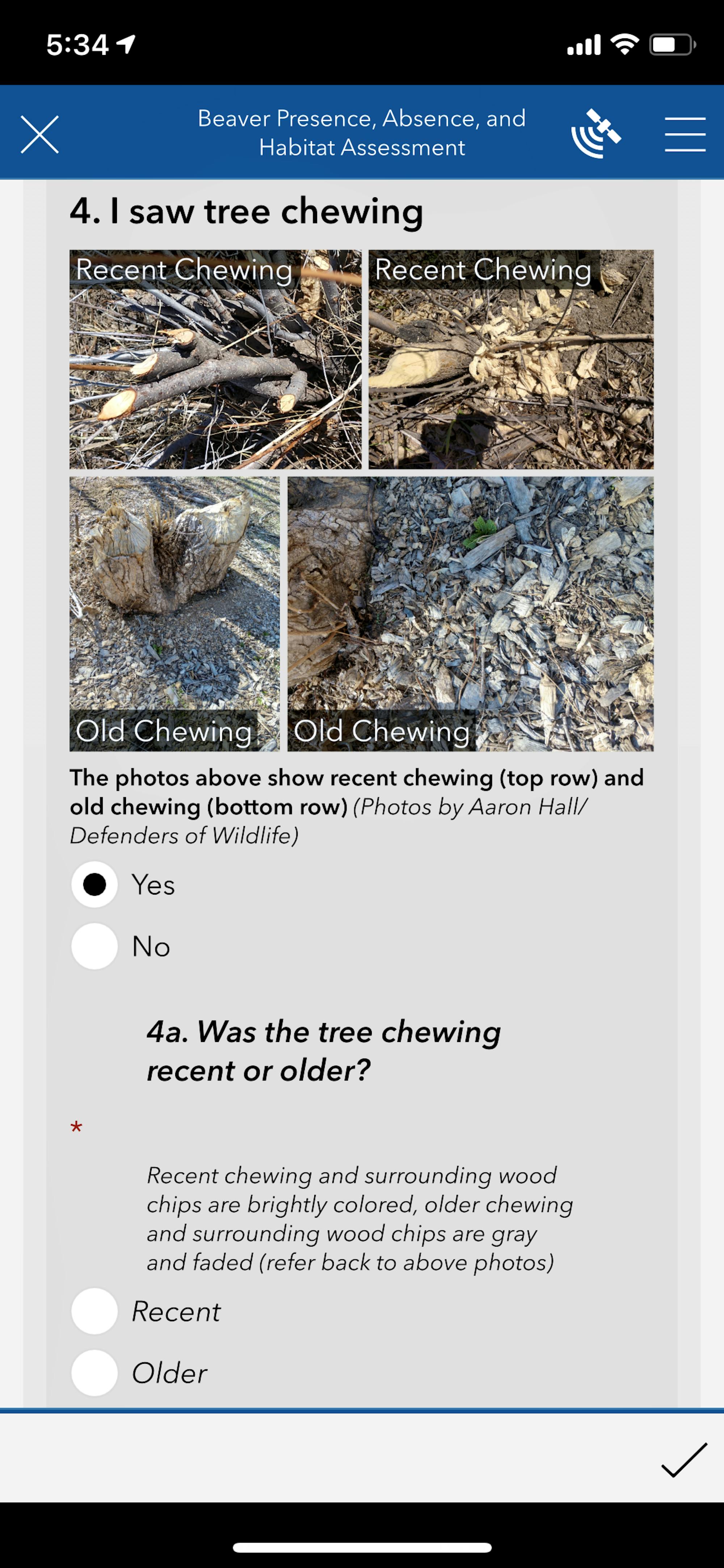 ibeaver survey screenshot