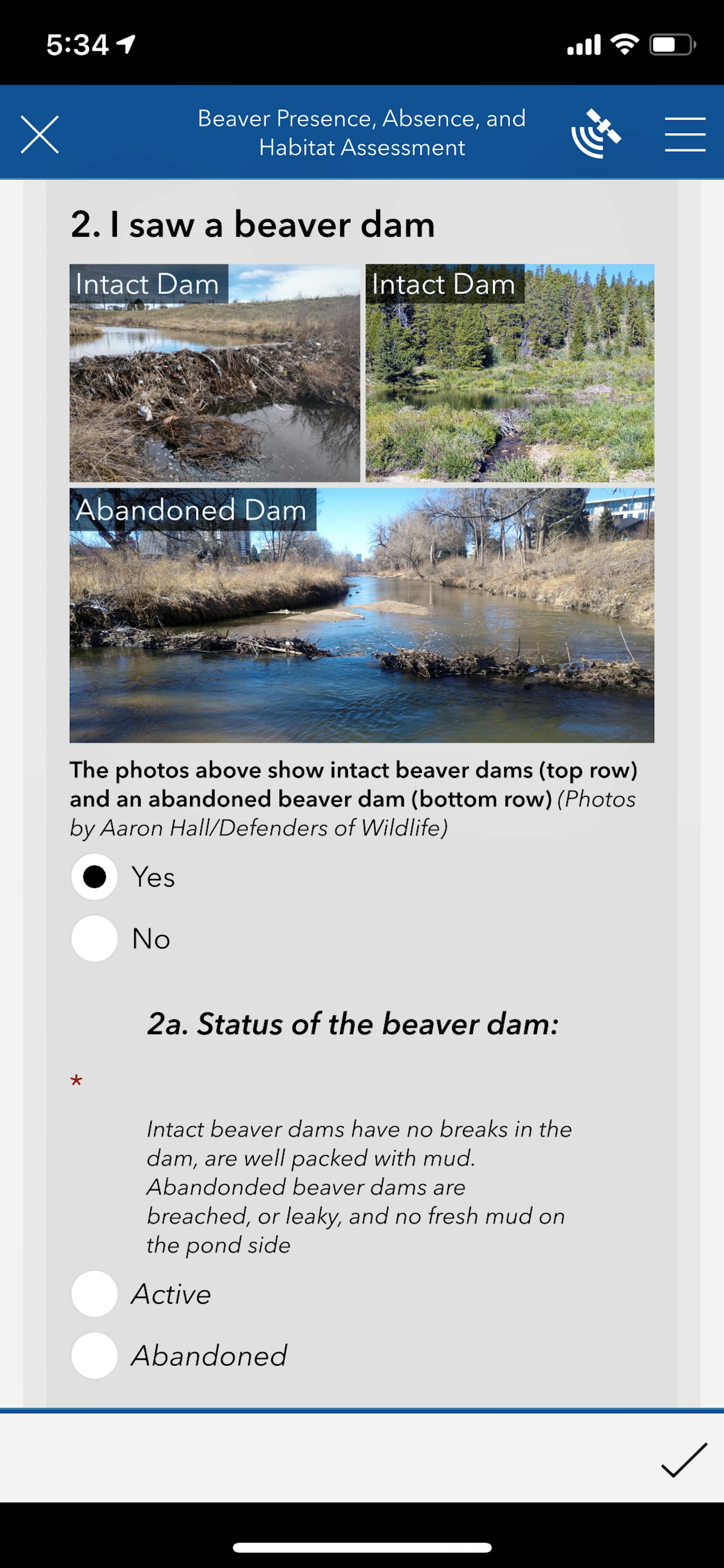 iBeaver survey screenshot