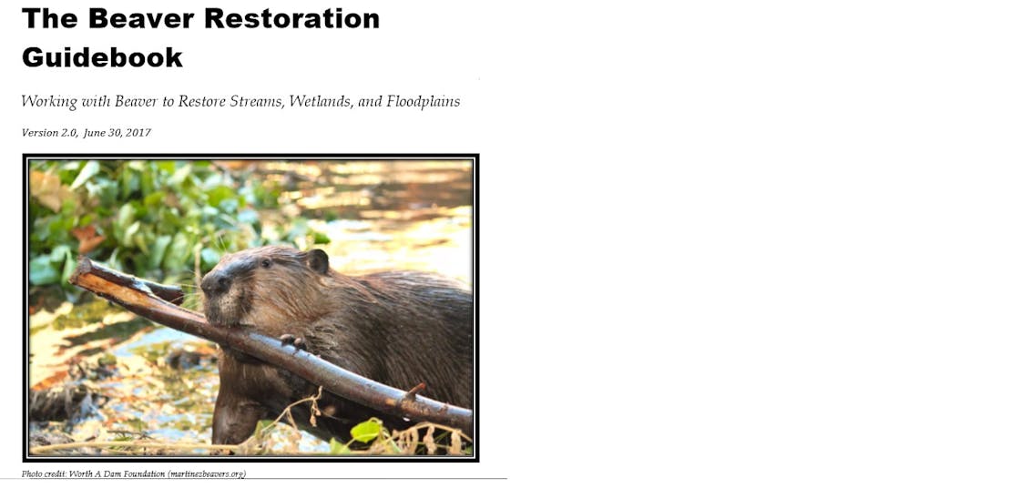 the beaver restoration guidebook