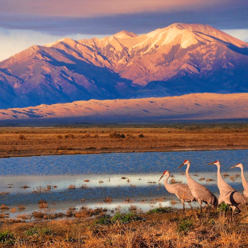 Advocating for Biodiversity