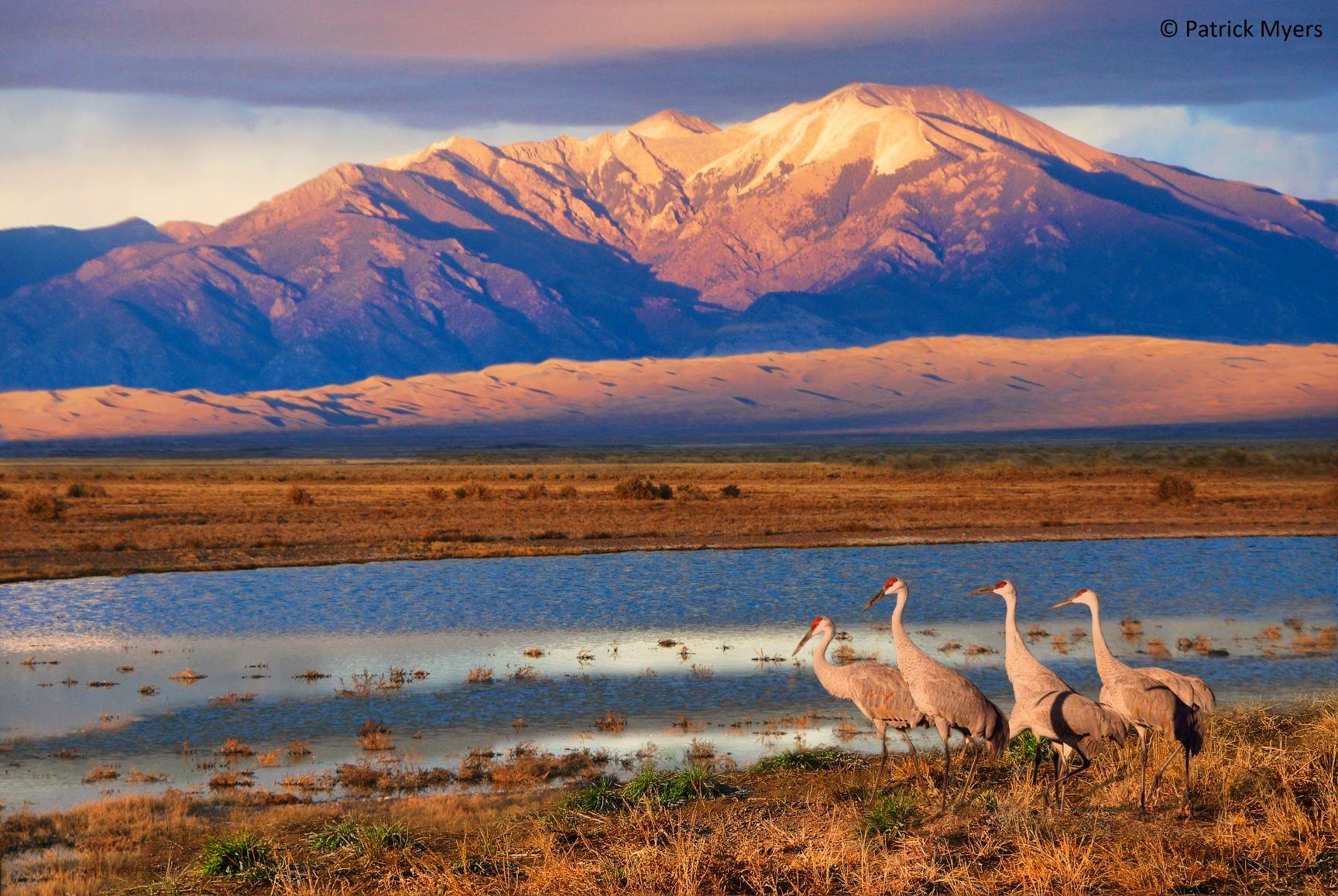 Advocating for Biodiversity