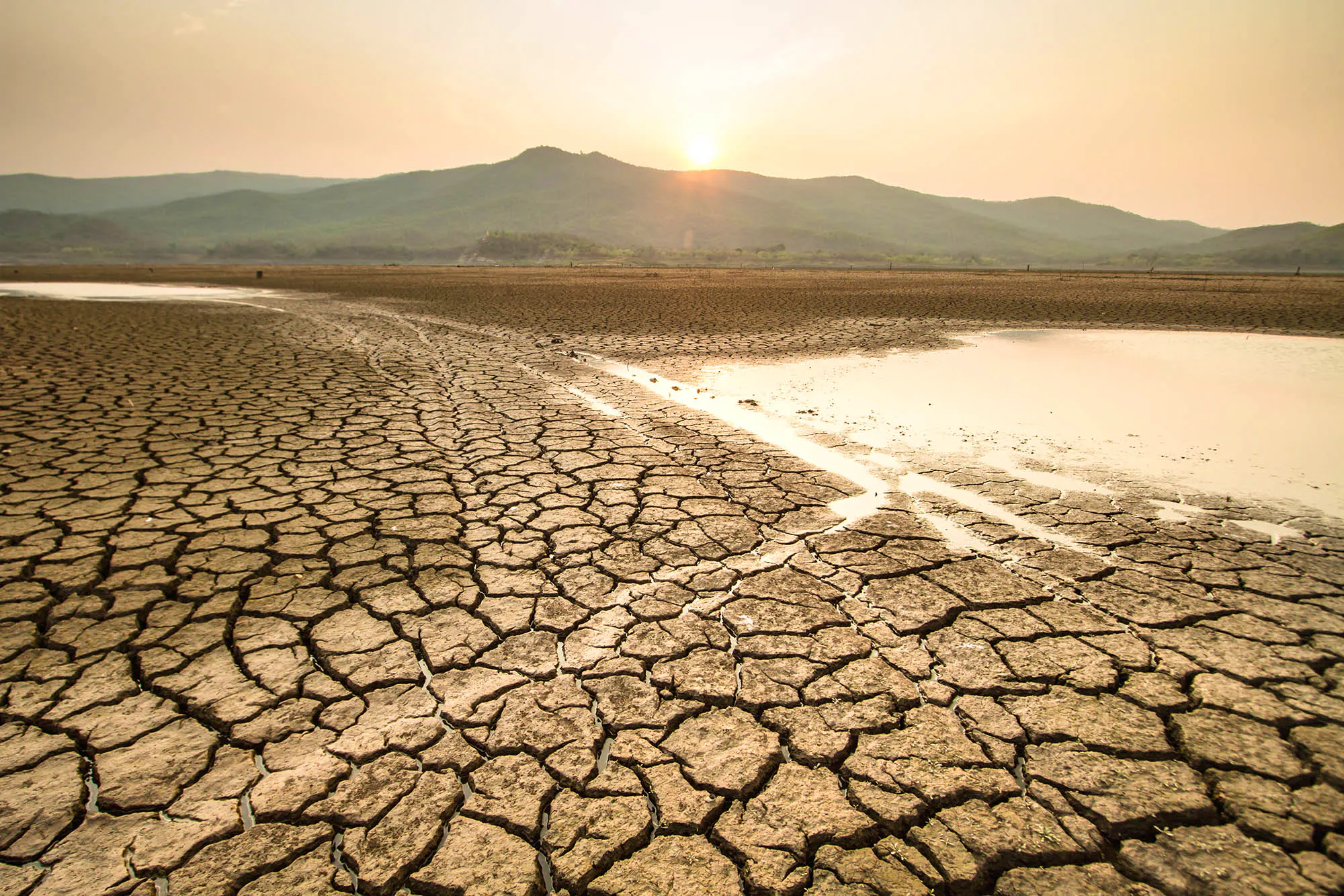 California Drought