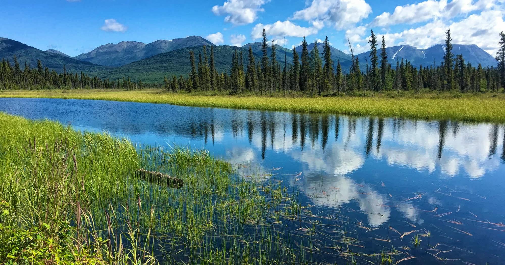 Kenai Wildlife Refuge