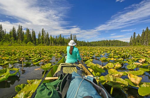 Kenai Wildlife Refuge