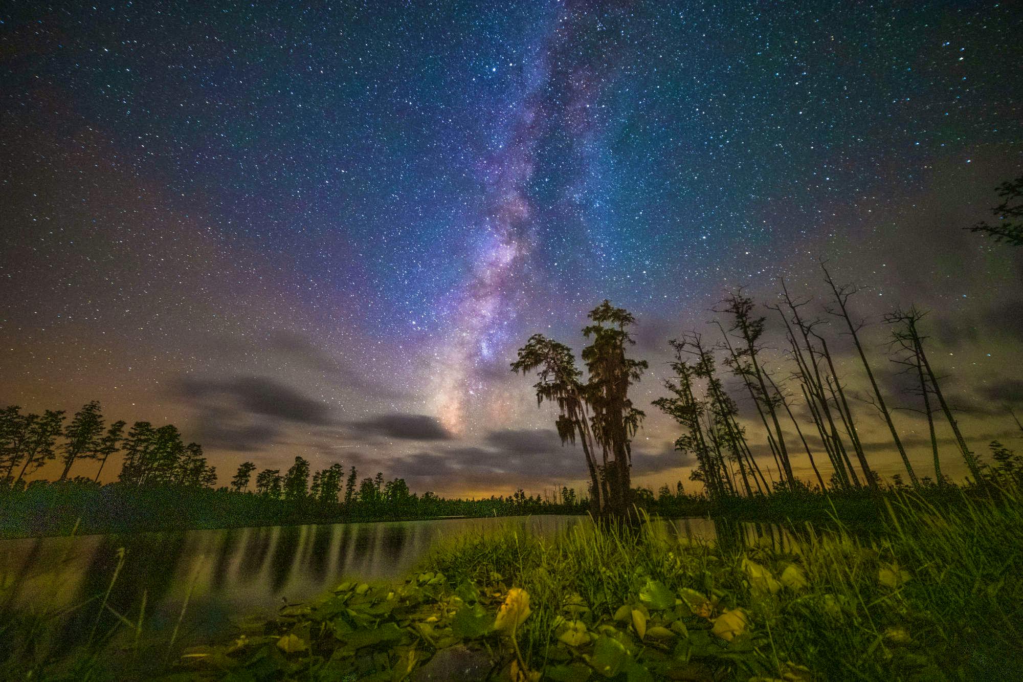 Night Sky Okefenokee
