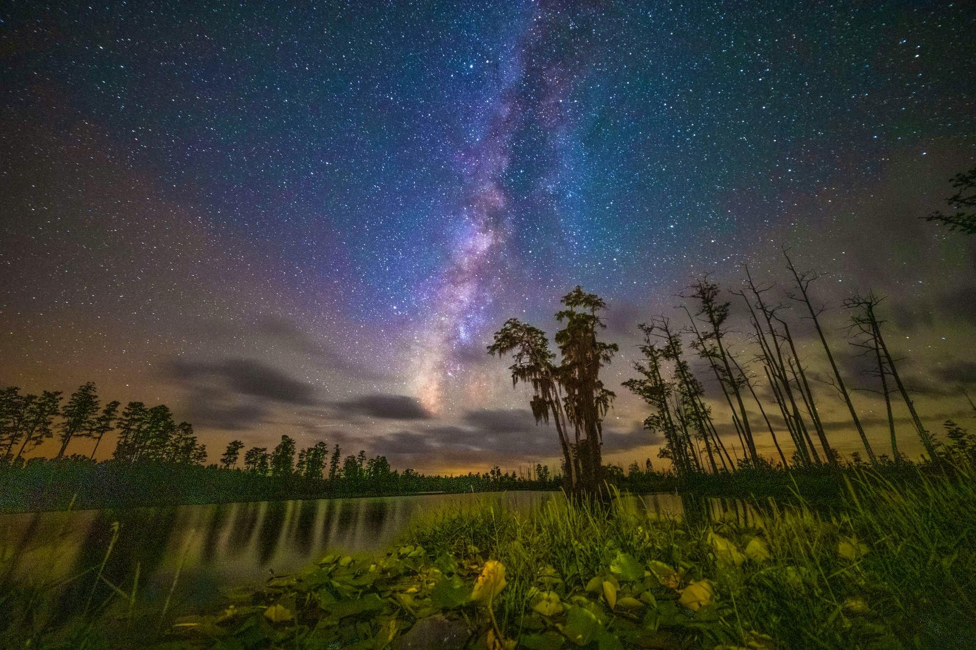 Night Sky Okefenokee