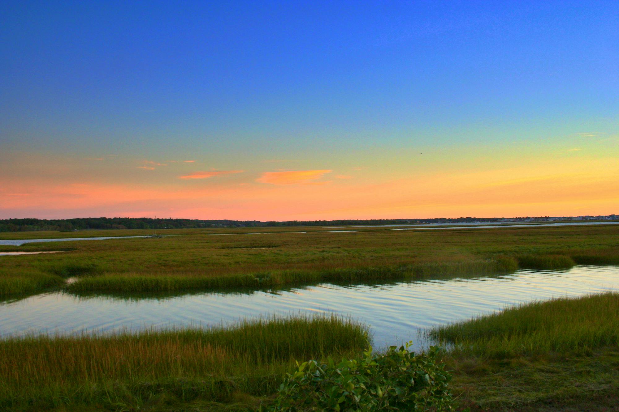 Rachel Caron Wildlife Refuge