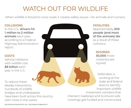 Watchout For Wildlife 