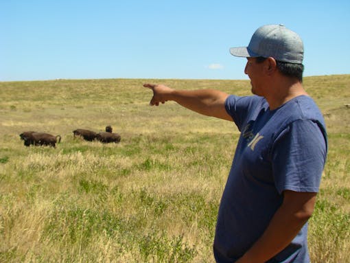 Bronc Speak Thunder with the People’s Creek herd on the Fort Belknap Indian Reservation, MT