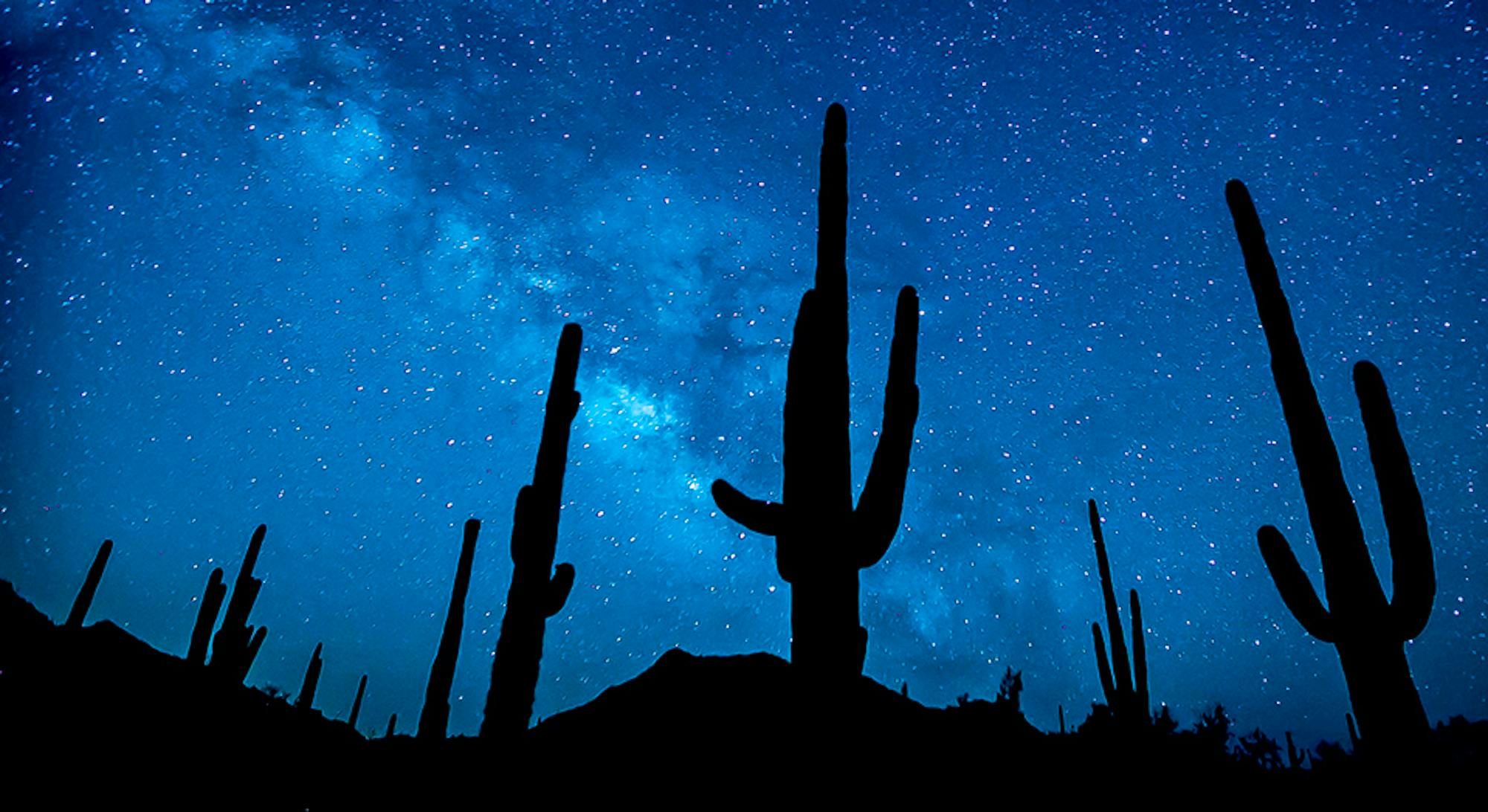 Night time Desert View with cactuses