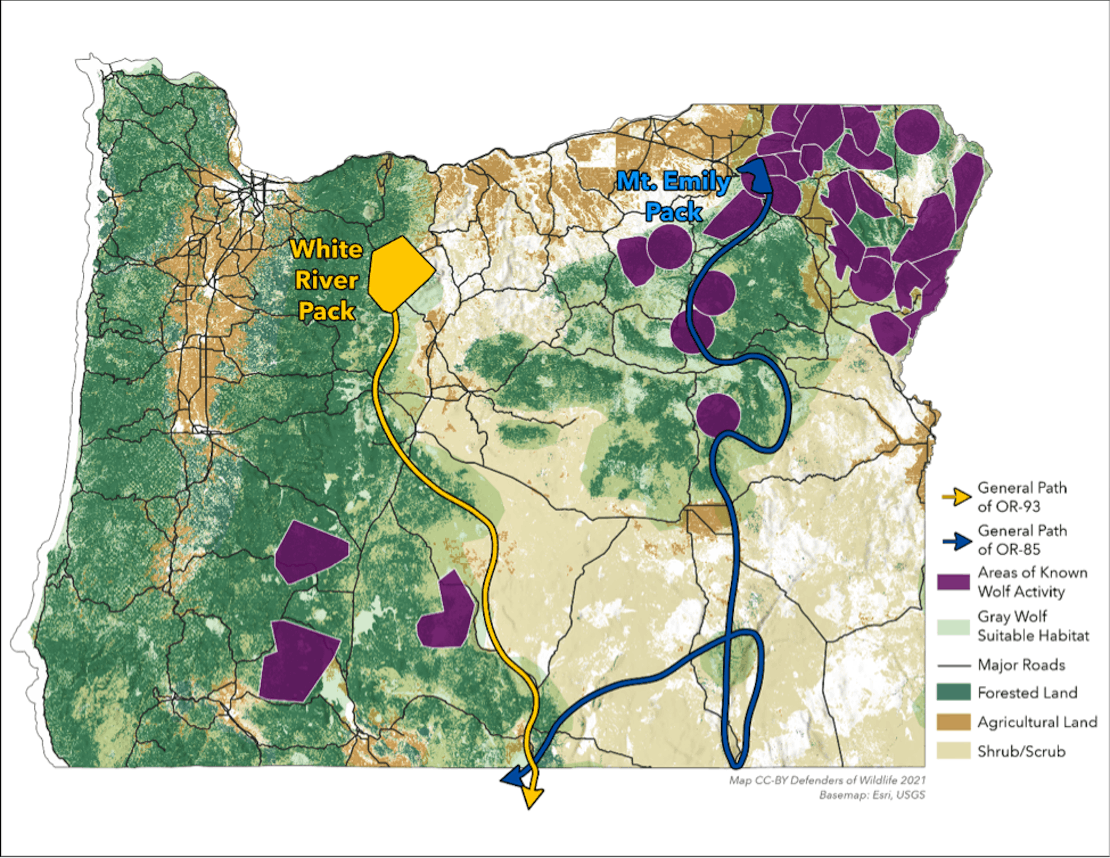 General paths taken by OR-93 and OR-85 from their natal packs to California.