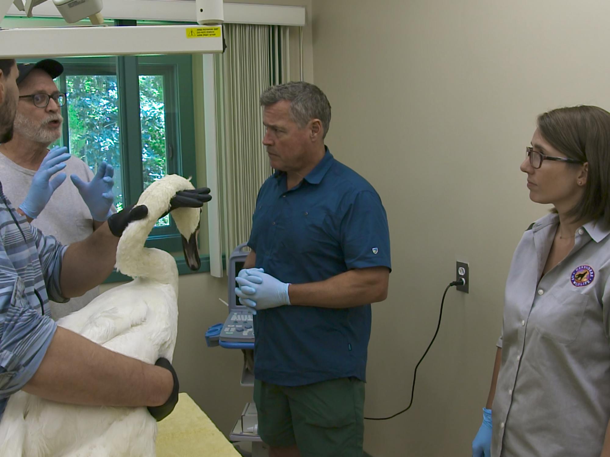 wildlife nation 103 - header image