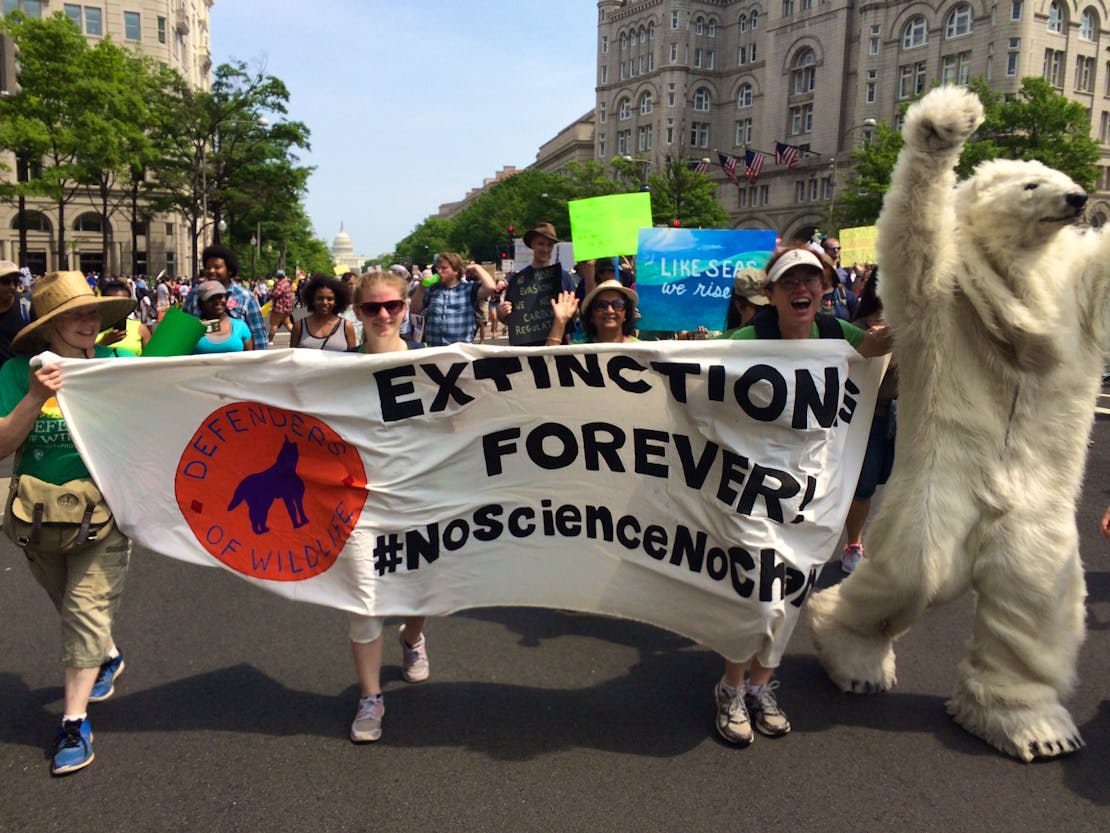 Extinction is Forever Sign - Climate March - Washington DC - DOW