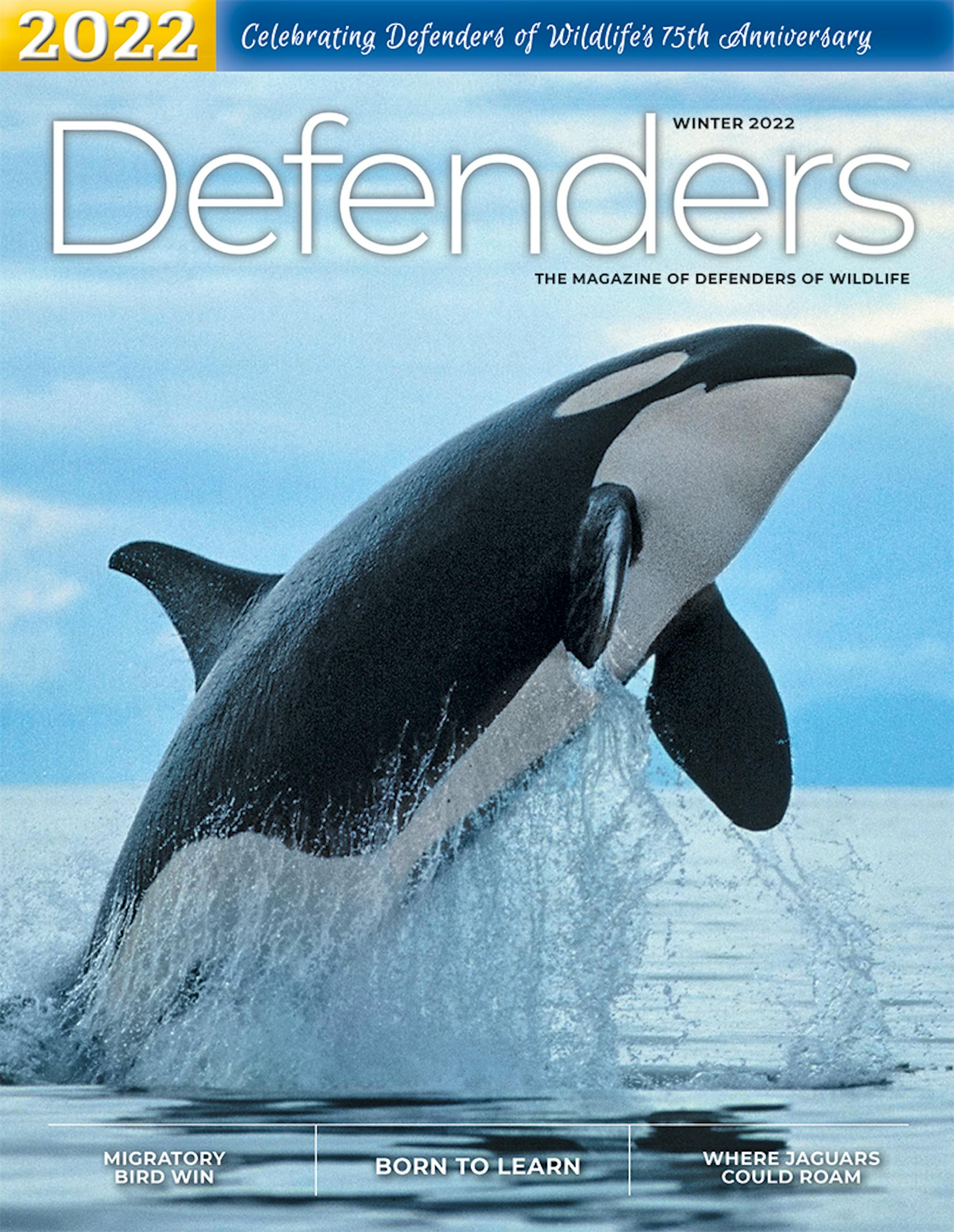 Winter 2022 Defenders Magazine