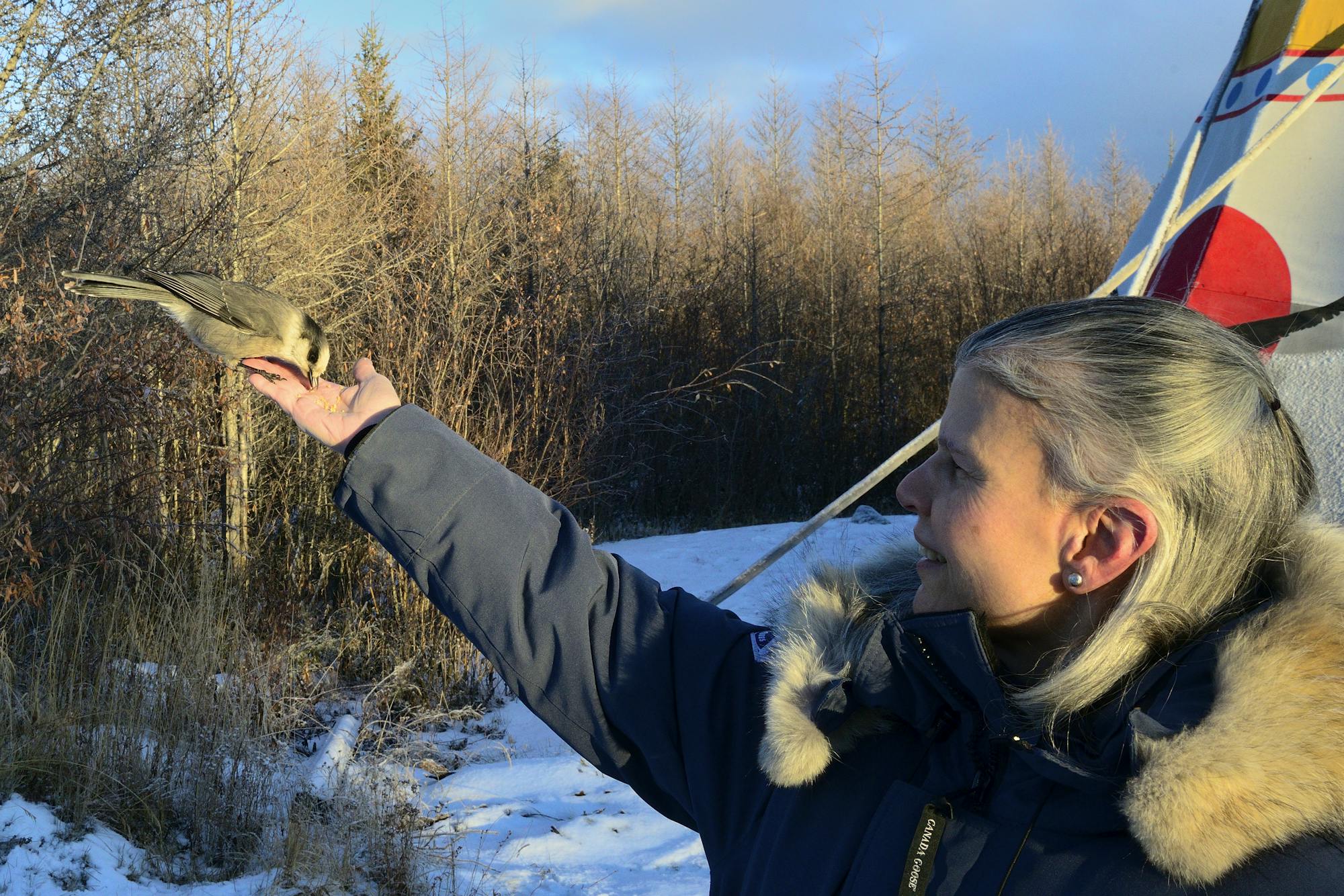 Jamie Rappaport Clark with Gray Jay - Churchill