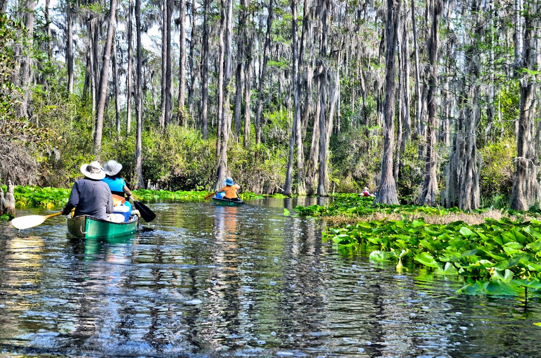 Paddling in Okefenokee