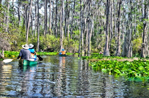 Paddling in Okefenokee