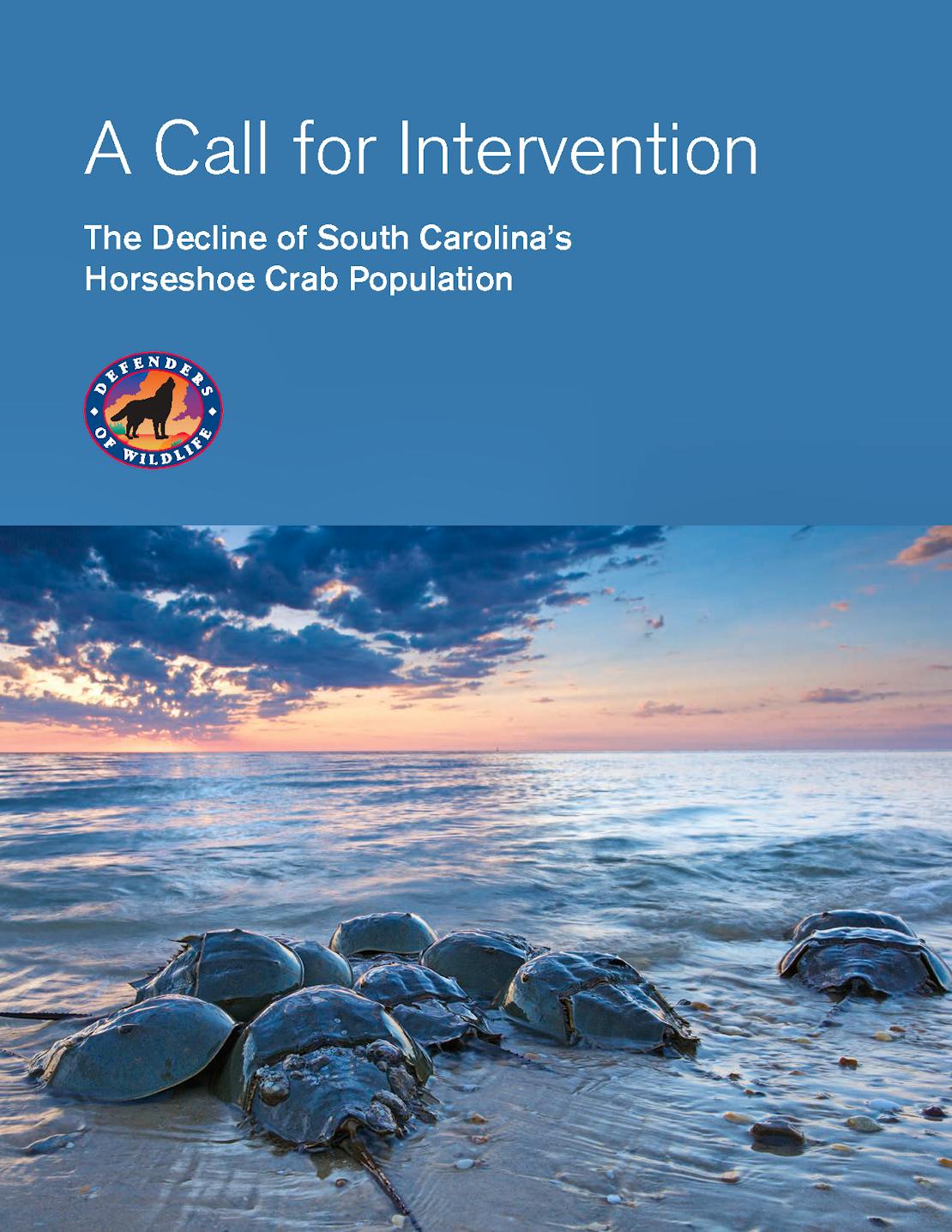 A Call for Intervention Report Cover