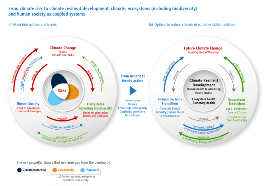 Figure 1 in the Summary for Policymakers