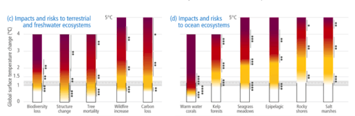 Figure 3 (c) and (d) in the Summary for Policymakers.