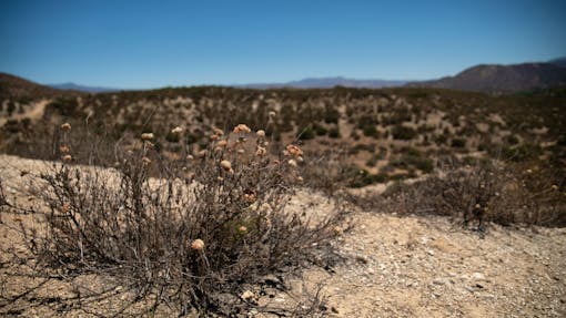 Shrubland Vegetation - Western Riverside - California